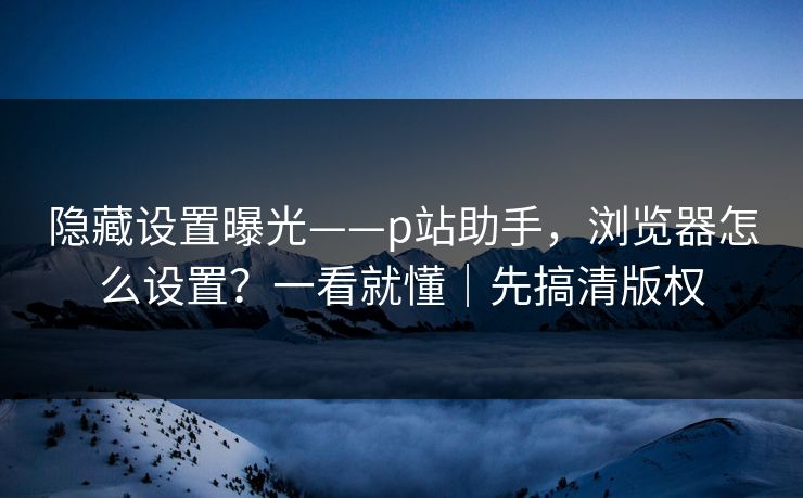 隐藏设置曝光——p站助手，浏览器怎么设置？一看就懂｜先搞清版权